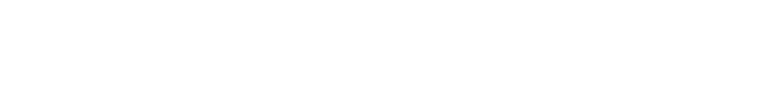 Storck Consulting
